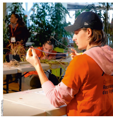 Concours de reconnaissance des végétaux : Mettre en lumière les formations de l’horticulture et du paysage