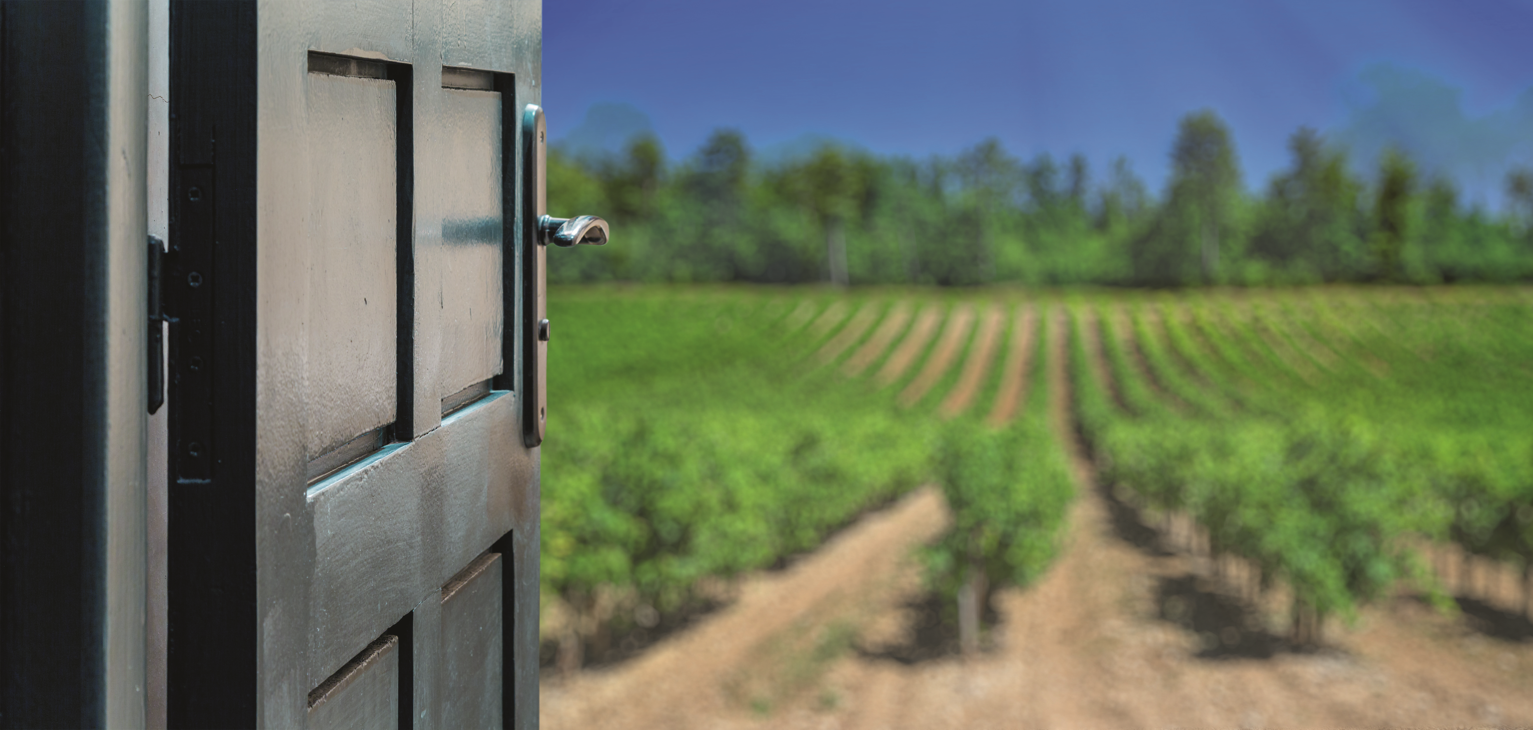 Agriculture : et si on s’installait ? : Commencez par le PAI