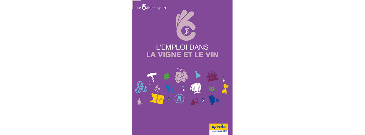 Le Cahier Expert "vigne et vin" de l'APECITA