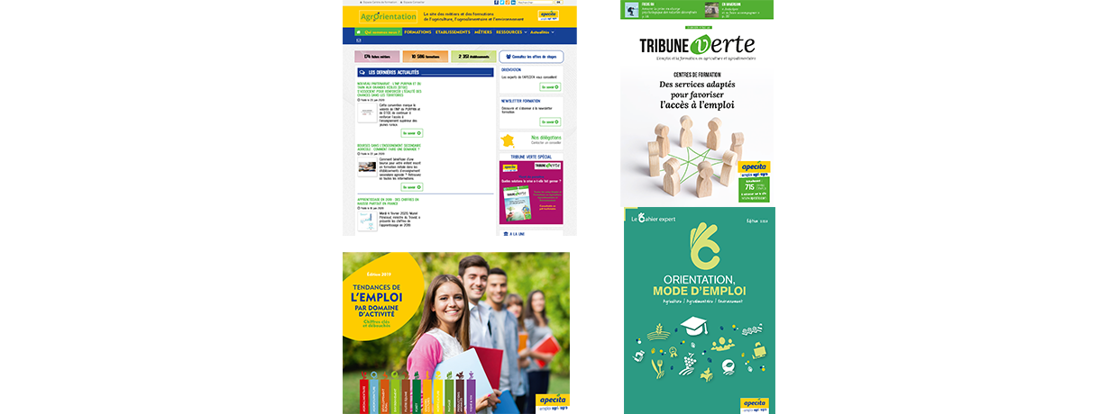 Web, publications papier : autant de supports pour bien communiquer