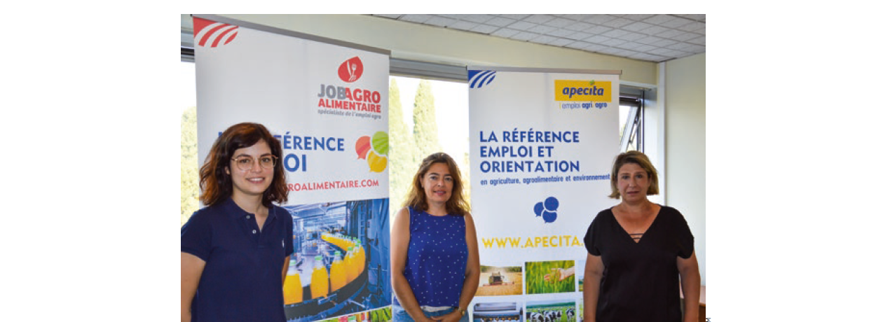 APECITA Provence-Alpes-Côte d’Azur-Corse : Un acteur phare de l’emploi régional