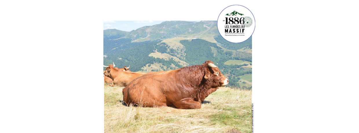 Altitude 1886 : Une marque pour promouvoir la viande du Massif central