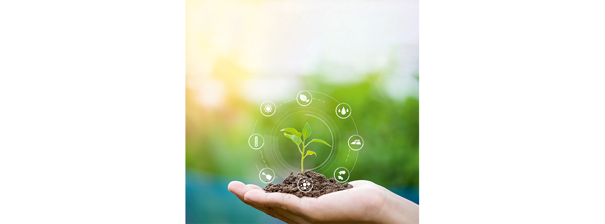 François-Henri Champagne, analyste chez Citizen Capital : L'agriculture, terre fertile pour les start-up