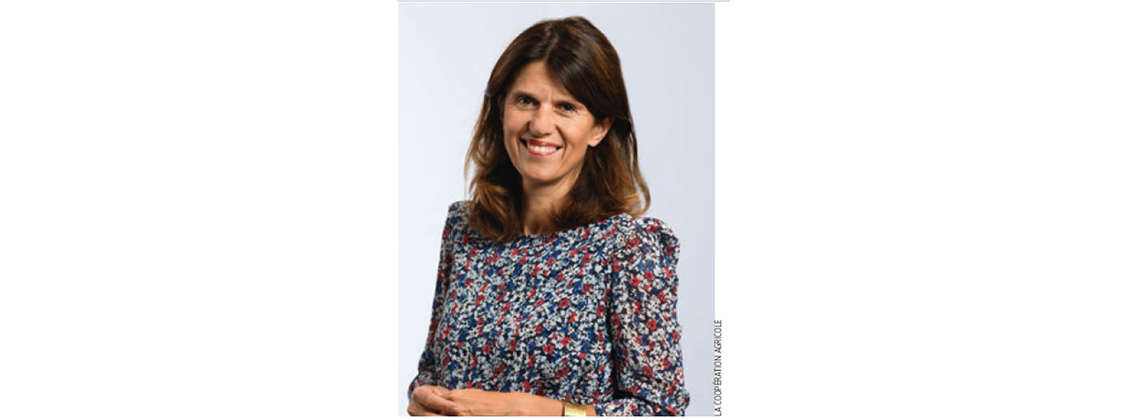 "Oser prendre des responsabilités"