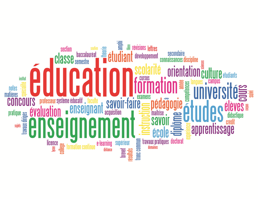 Du collège à l'entreprise : Se former tout au long de la vie !