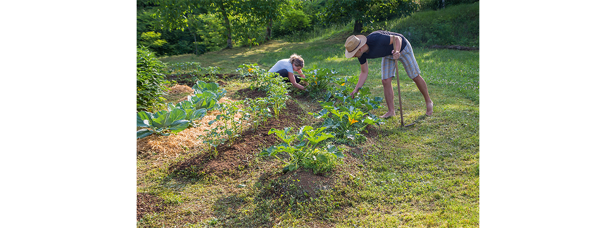 Wwoofing : Découverte et partage dans une ferme bio