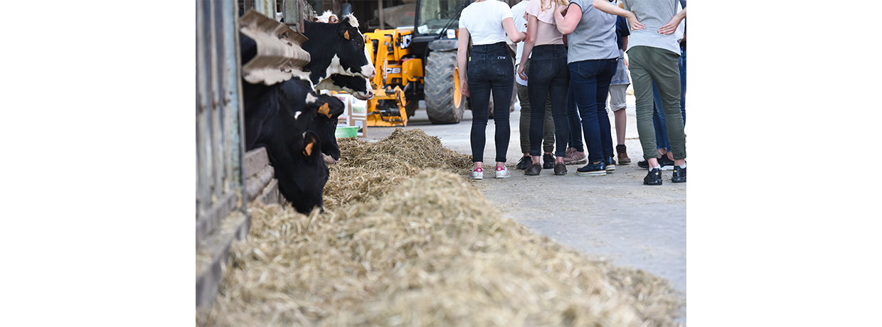 Éducation nationale/enseignement agricole : Valoriser les métiers du vivant