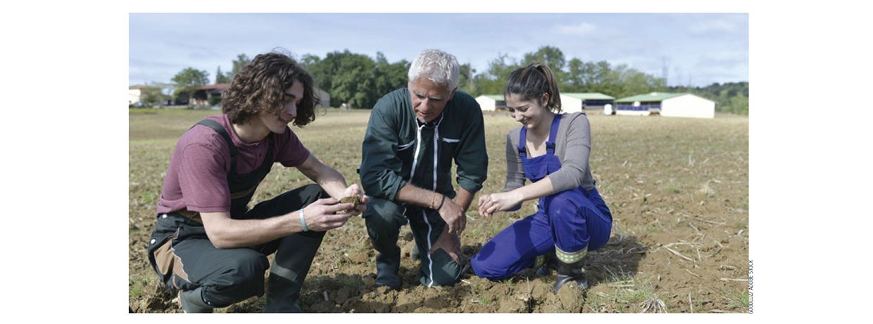 Formation initiale : stage, apprentissage : l’alternance aux deux visages