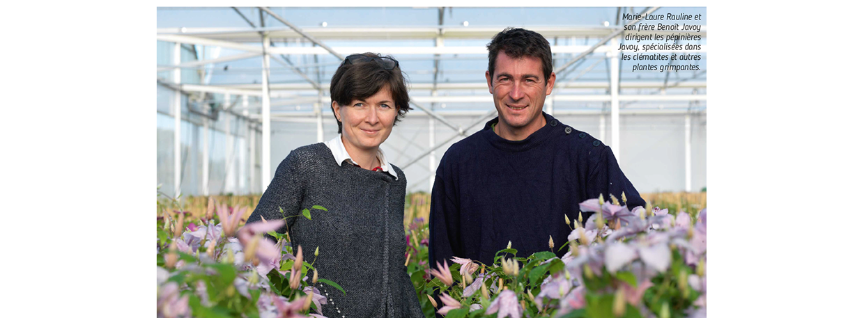 Pépinières Javoy : 1 200 000 plantes produites par an