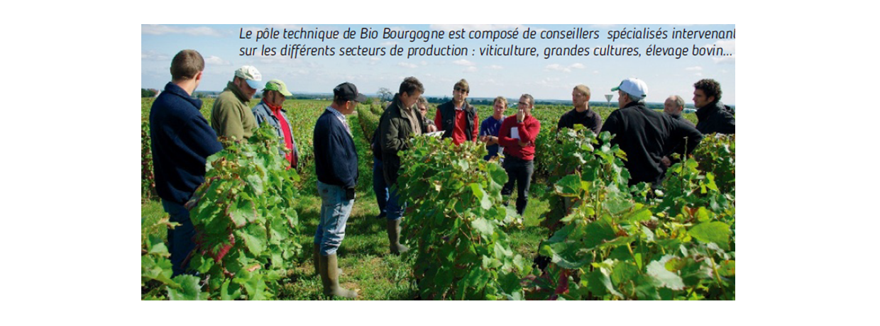 Bio Bourgogne : Développer l'agriculture biologique