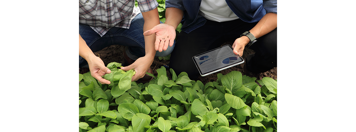 Recrutement agri-agro : Le marché de l'emploi, un rapport de force