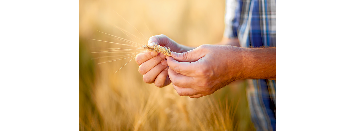 Conseiller en agriculture biologique F/H