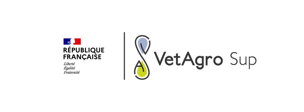 VetAgro Sup : les futurs vétérinaires personnalisent leur cursus