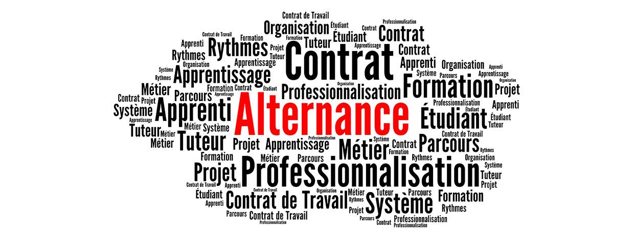 Ils ont choisi l'alternance et ne le regrettent pas !