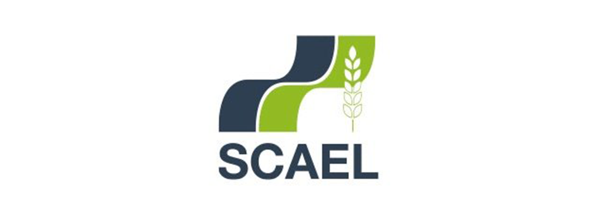 SCAEL : Une politique à la croisée des chemins