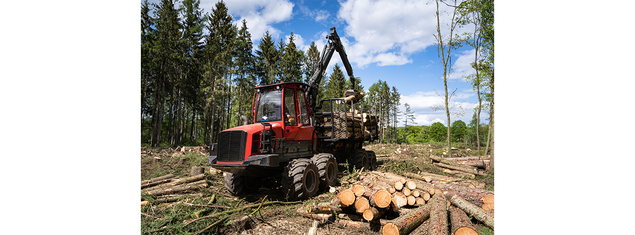 La forêt française en chiffres