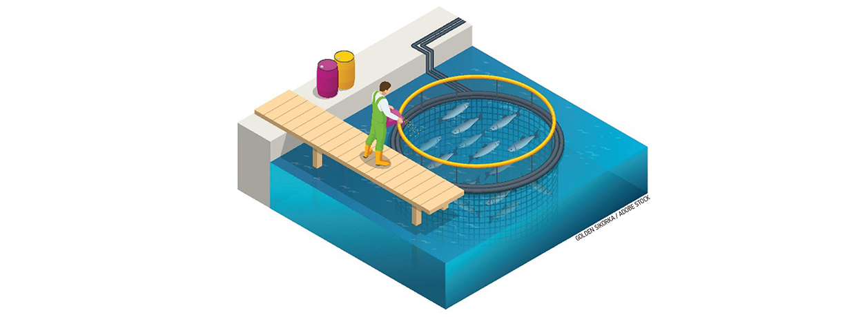 Responsable d'élevage aquacole F/H