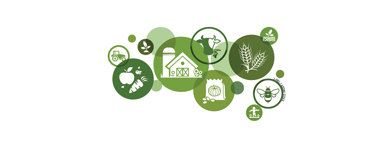 Se reconvertir comme agriculteur dans le Cantal