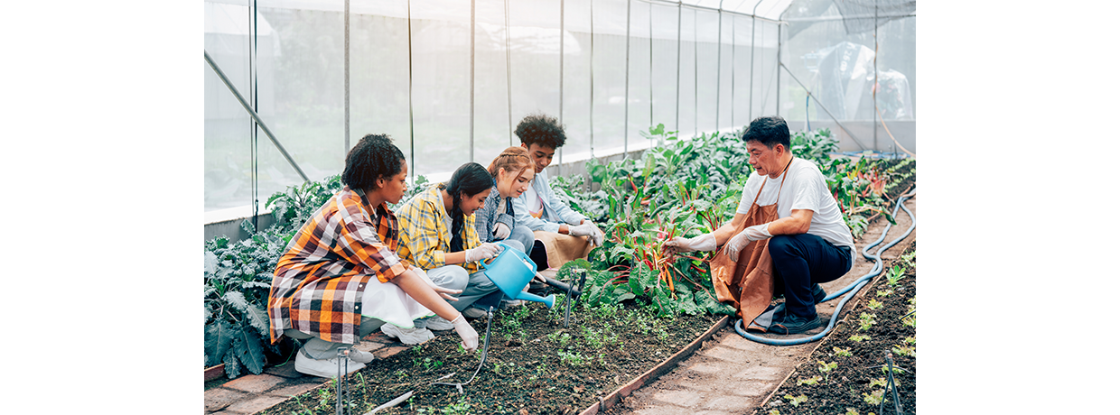 Les nouveautés de l’enseignement agricole