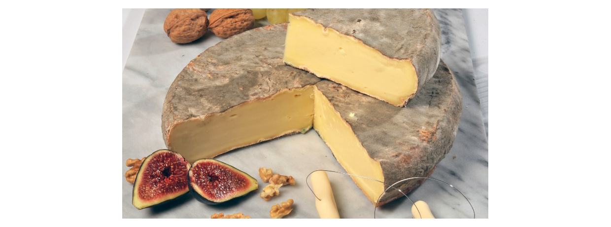 Interprofession du saint-nectaire : Conserver l'intégrité et l’identité du fromage