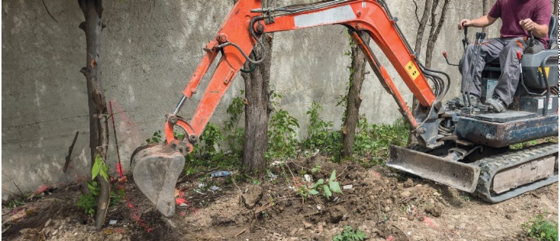 Le Génie écologique, un grand chantier porteur d’emplois