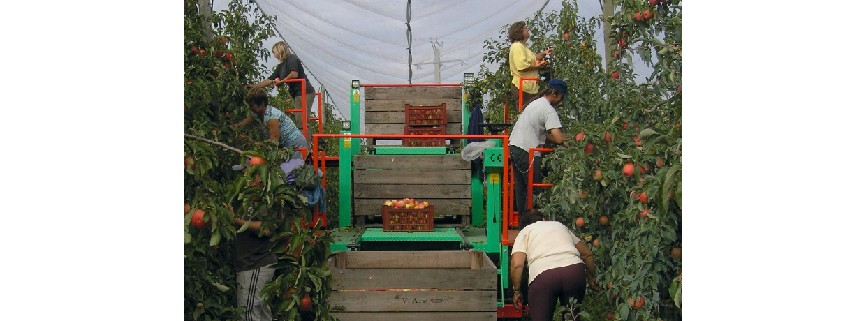 Les RH, au coeur de l'évènement fruit 2050