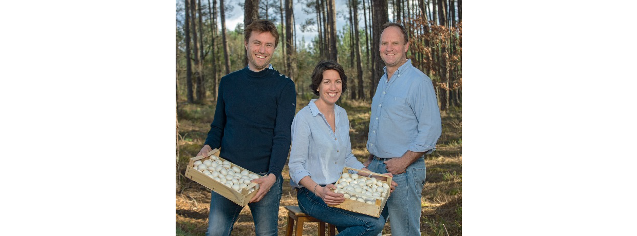 Cabane & Compagnie : Une champignonnière ergonomique dans les Landes