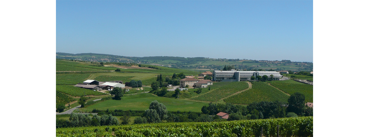 Viti Cap Formations se tourne vers l’apprentissage