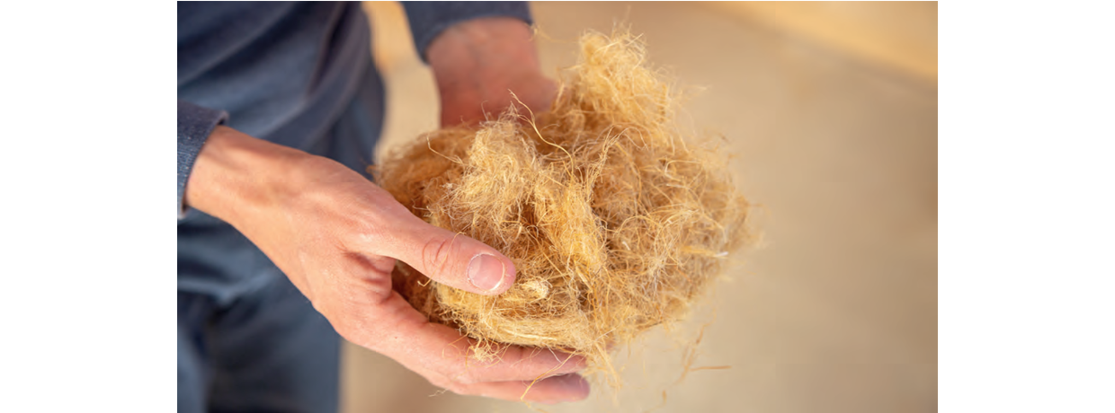 En occitanie, le chanvre textile ne tient qu'à un fil