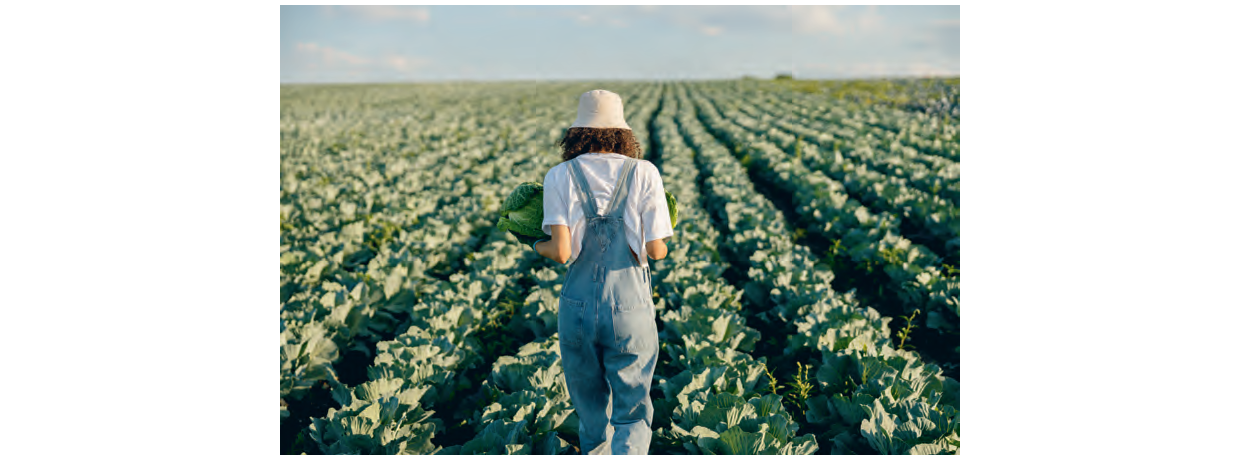 Enquête : Quelles sont les attentes professionnelles des jeunes ingénieurs agri-agro ?