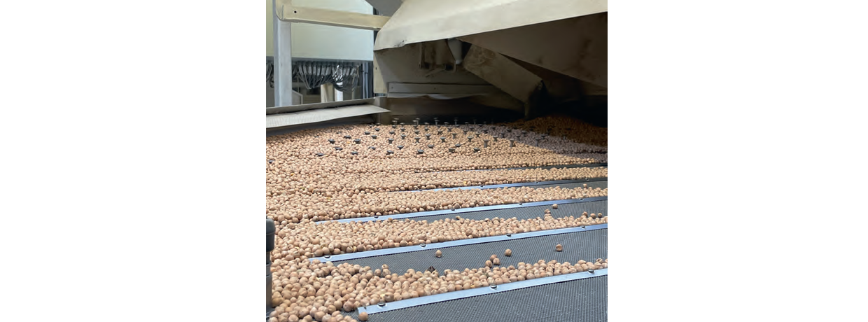 Groupe coopératif Qualisol : Des légumineuses made in Sud-Ouest