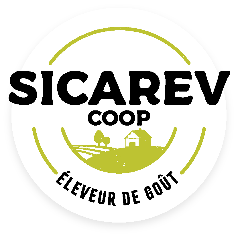 SICAREV COOP